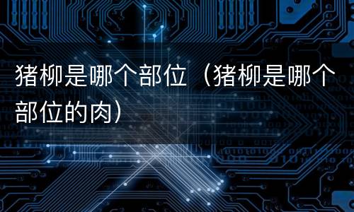 猪柳是哪个部位（猪柳是哪个部位的肉）