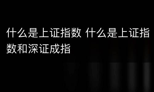 什么是上证指数 什么是上证指数和深证成指