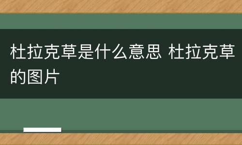 杜拉克草是什么意思 杜拉克草的图片