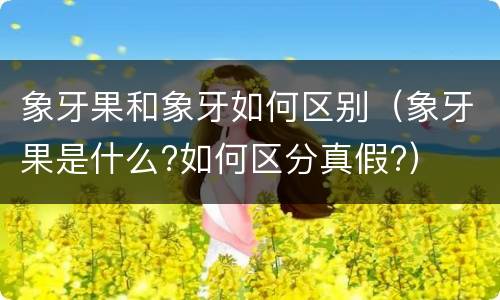 象牙果和象牙如何区别（象牙果是什么?如何区分真假?）
