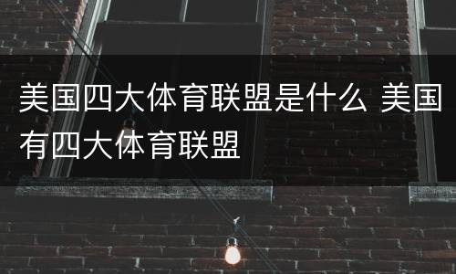 美国四大体育联盟是什么 美国有四大体育联盟
