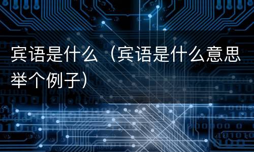 宾语是什么（宾语是什么意思举个例子）