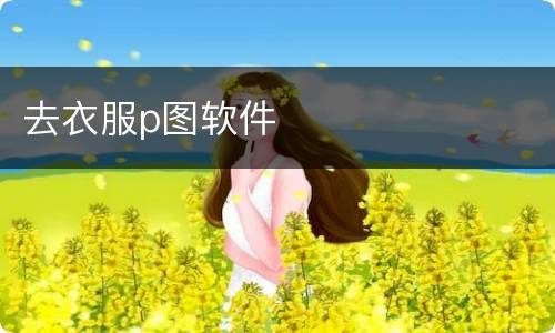 去衣服p图软件