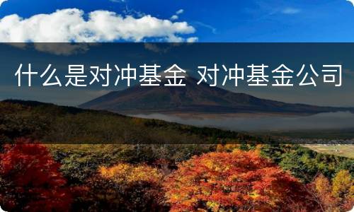 什么是对冲基金 对冲基金公司