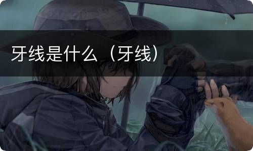 牙线是什么（牙线）