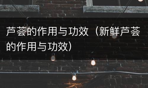 芦荟的作用与功效（新鲜芦荟的作用与功效）