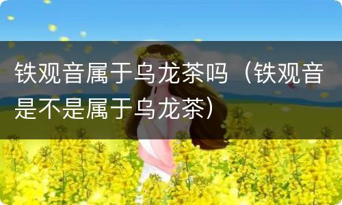 铁观音属于乌龙茶吗（铁观音是不是属于乌龙茶）