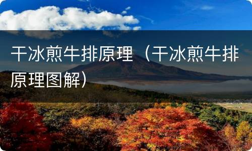 干冰煎牛排原理（干冰煎牛排原理图解）