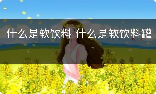 什么是软饮料 什么是软饮料罐