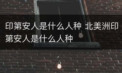 印第安人是什么人种 北美洲印第安人是什么人种