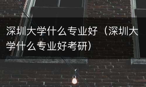 深圳大学什么专业好（深圳大学什么专业好考研）