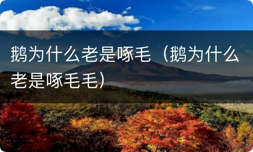 鹅为什么老是啄毛（鹅为什么老是啄毛毛）