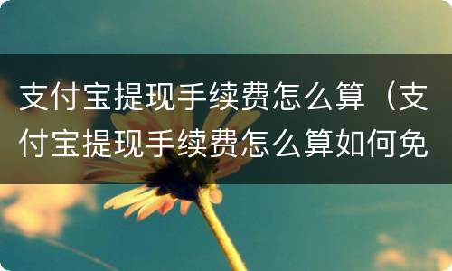支付宝提现手续费怎么算（支付宝提现手续费怎么算如何免费）