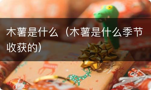 木薯是什么（木薯是什么季节收获的）