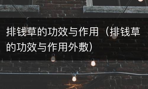 排钱草的功效与作用（排钱草的功效与作用外敷）