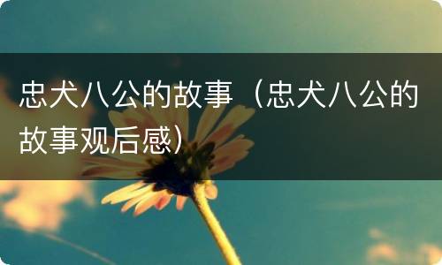 忠犬八公的故事（忠犬八公的故事观后感）