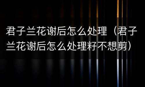 君子兰花谢后怎么处理（君子兰花谢后怎么处理籽不想剪）