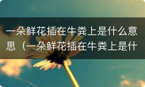 一朵鲜花插在牛粪上是什么意思（一朵鲜花插在牛粪上是什么意思呀）