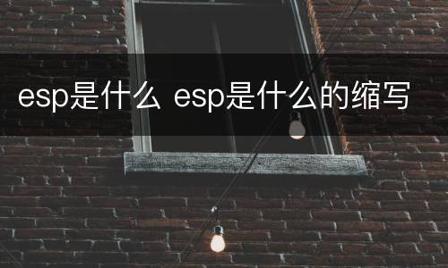 esp是什么 esp是什么的缩写