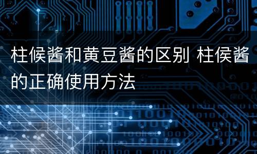 柱候酱和黄豆酱的区别 柱侯酱的正确使用方法