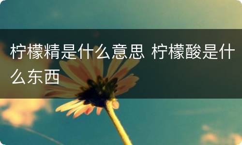 柠檬精是什么意思 柠檬酸是什么东西