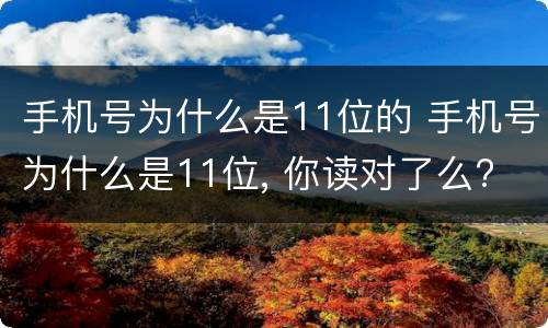 手机号为什么是11位的 手机号为什么是11位, 你读对了么?