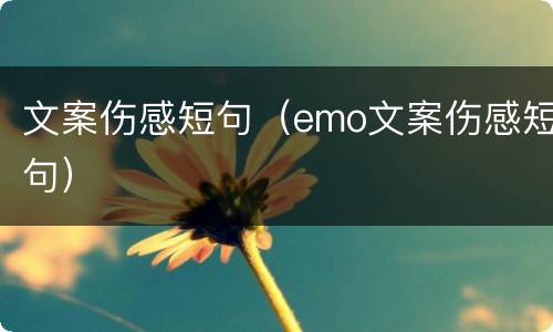 文案伤感短句（emo文案伤感短句）