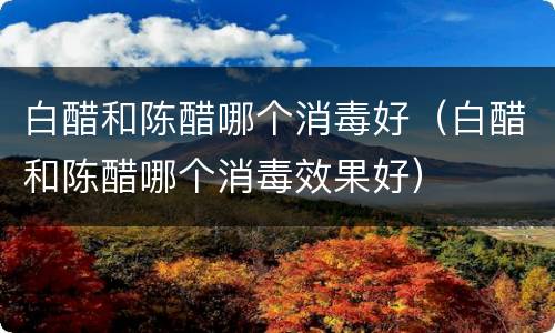 白醋和陈醋哪个消毒好（白醋和陈醋哪个消毒效果好）