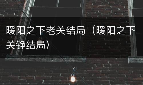 暖阳之下老关结局（暖阳之下关铮结局）