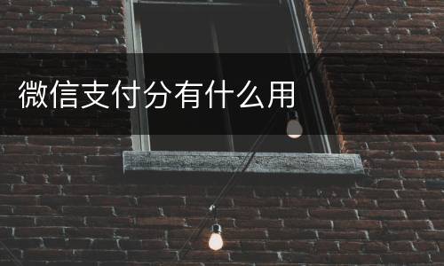 微信支付分有什么用