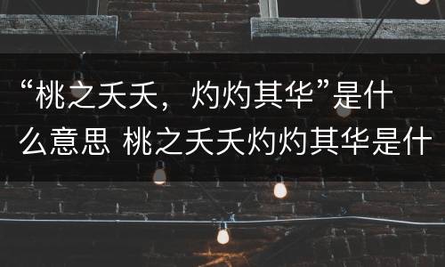 “桃之夭夭，灼灼其华”是什么意思 桃之夭夭灼灼其华是什么意思啊