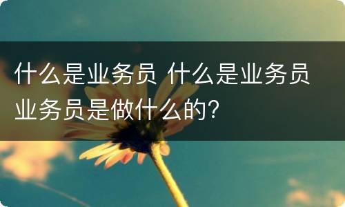 什么是业务员 什么是业务员 业务员是做什么的?