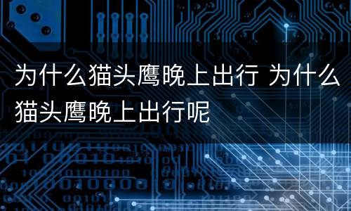 为什么猫头鹰晚上出行 为什么猫头鹰晚上出行呢