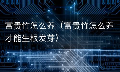 富贵竹怎么养（富贵竹怎么养才能生根发芽）