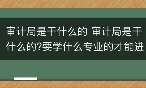 审计局是干什么的 审计局是干什么的?要学什么专业的才能进?