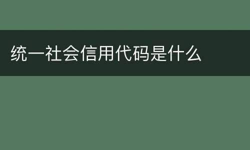 统一社会信用代码是什么