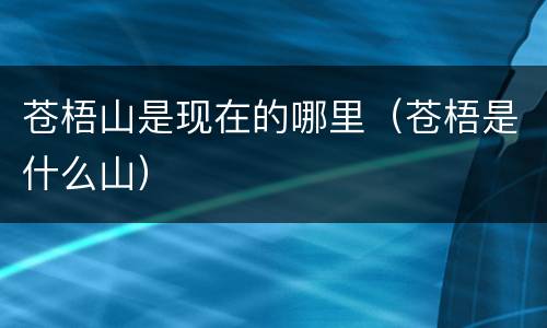 苍梧山是现在的哪里（苍梧是什么山）