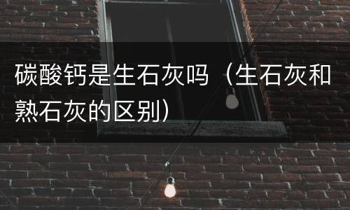 碳酸钙是生石灰吗（生石灰和熟石灰的区别）