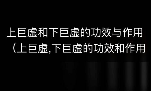 上巨虚和下巨虚的功效与作用（上巨虚,下巨虚的功效和作用）
