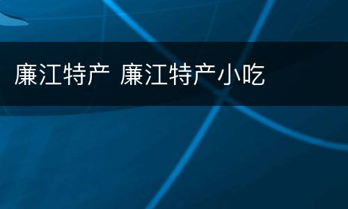 廉江特产 廉江特产小吃