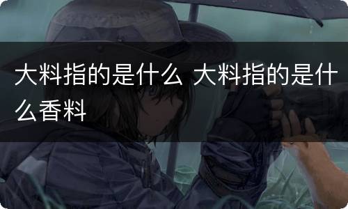 大料指的是什么 大料指的是什么香料