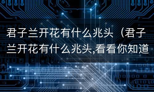 君子兰开花有什么兆头（君子兰开花有什么兆头,看看你知道吗）