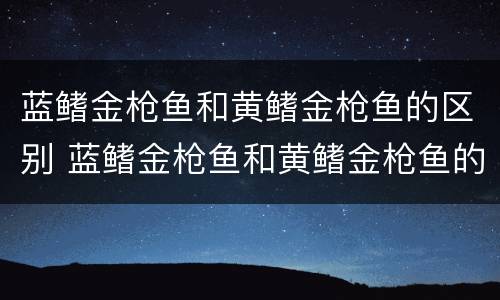 蓝鳍金枪鱼和黄鳍金枪鱼的区别 蓝鳍金枪鱼和黄鳍金枪鱼的区别两者价格