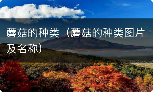 蘑菇的种类（蘑菇的种类图片及名称）