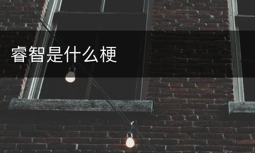 睿智是什么梗