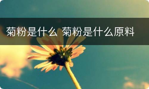 菊粉是什么 菊粉是什么原料