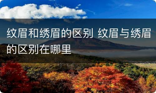 纹眉和绣眉的区别 纹眉与绣眉的区别在哪里