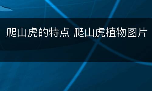 爬山虎的特点 爬山虎植物图片