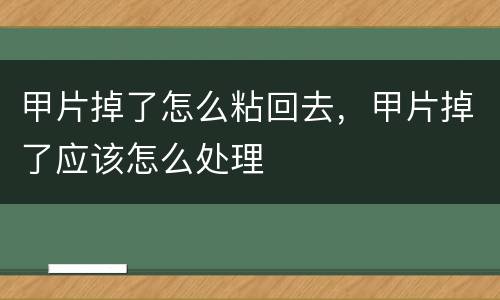甲片掉了怎么粘回去，甲片掉了应该怎么处理