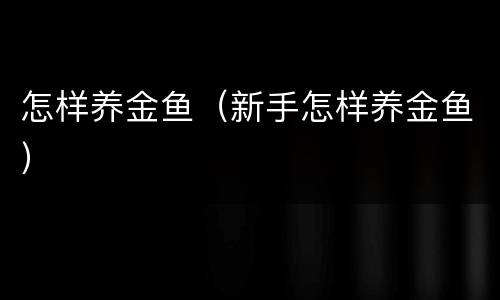 怎样养金鱼（新手怎样养金鱼）